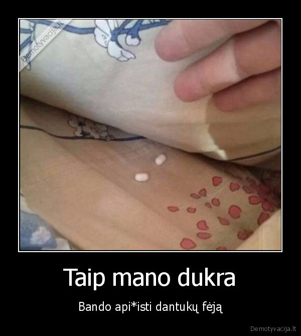 dantuku, feja,dantu, feja,tic, tac