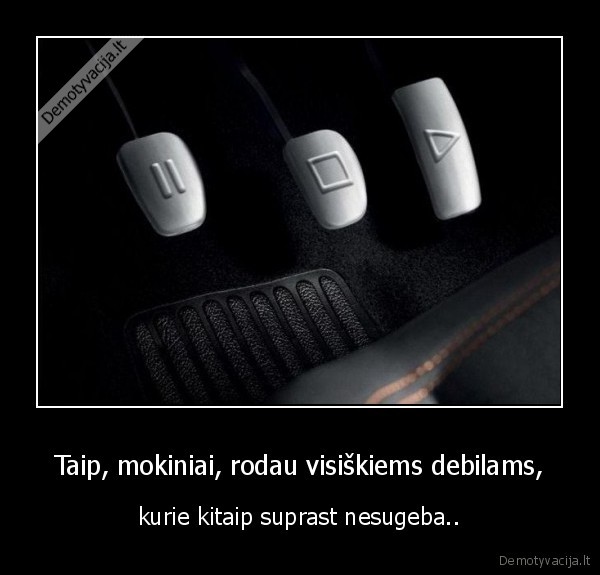 Taip, mokiniai, rodau visiškiems debilams,