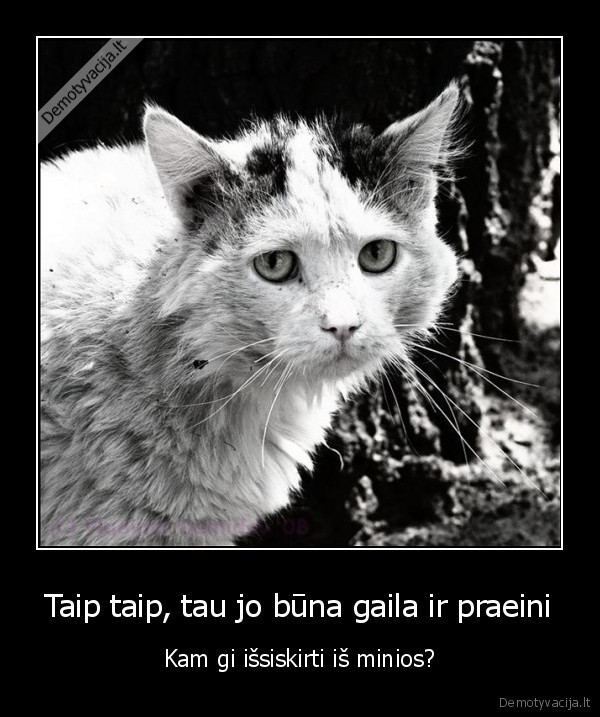 Taip taip, tau jo būna gaila ir praeini