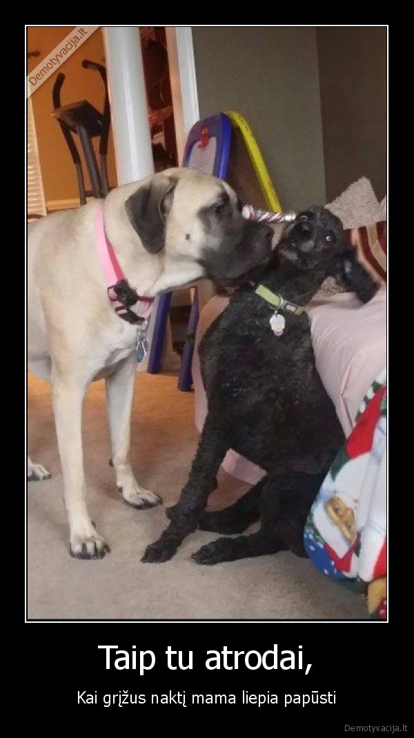 paputimas,girtas, vaikas,isgeres