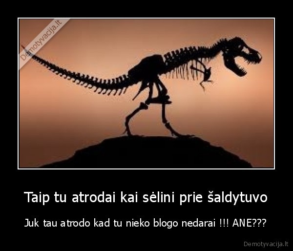 saldytuvas,tu,selini