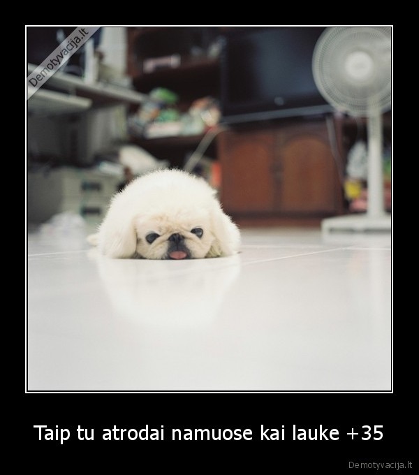 Taip tu atrodai namuose kai lauke +35