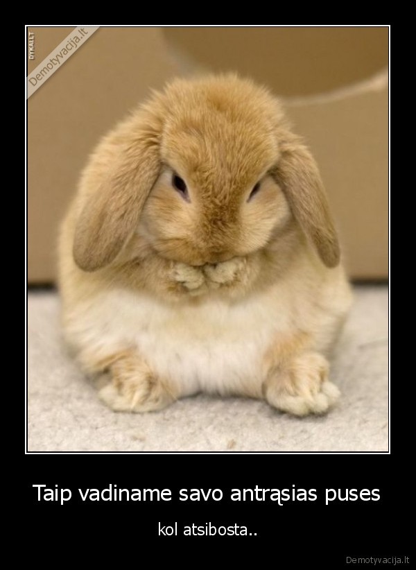 Taip vadiname savo antrąsias puses