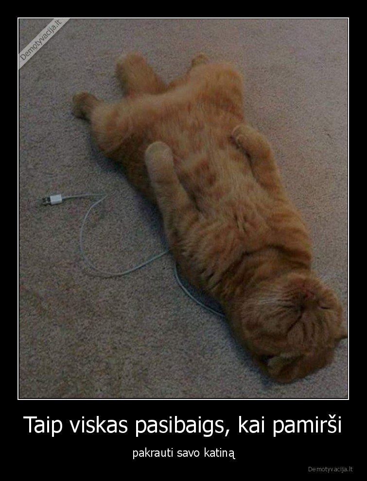 katinas,issikrove,usb,pakrauti