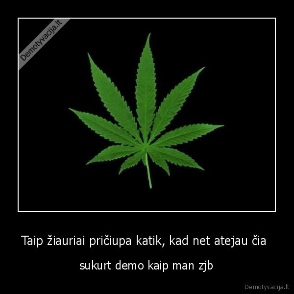 ganja,dumai,bongas,kasekas,utke,per, kibira,ragas,raudonos, akys,raga