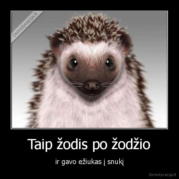 Taip žodis po žodžio