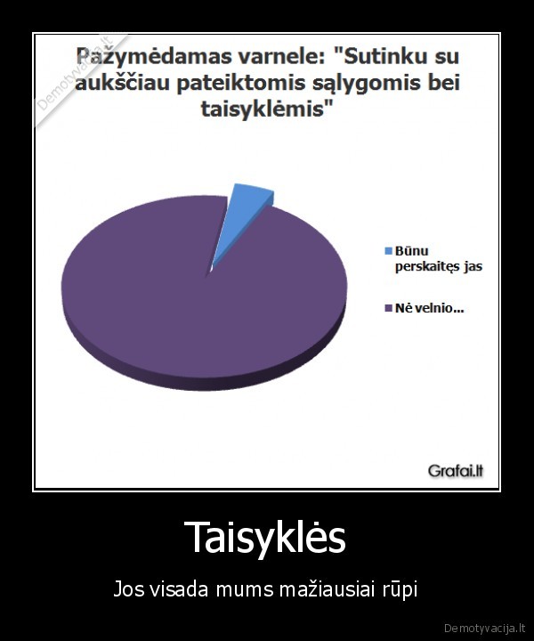 taisykles,patvirtinti,salygos