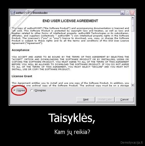 taisykles,apgaules