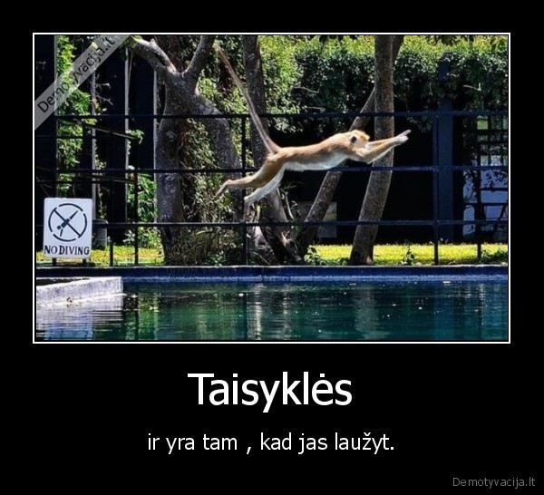 taisykles, reikia, lauzyt