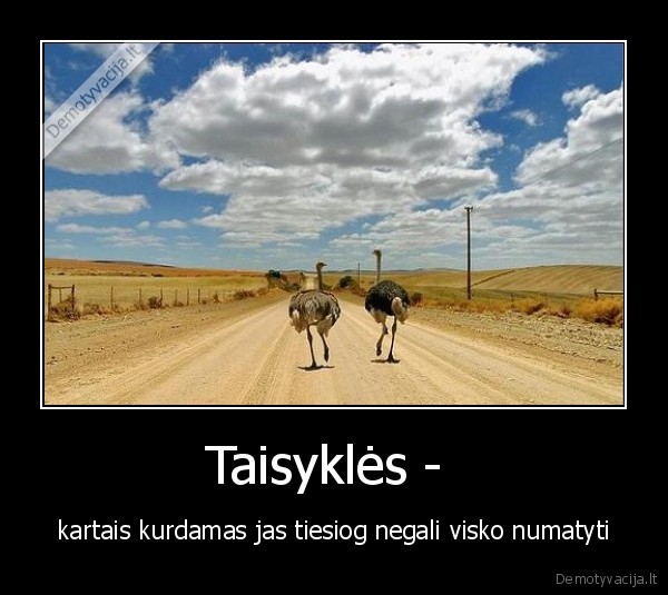 kelias,taisykles,struciai