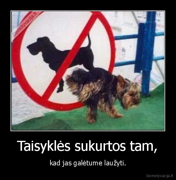 taisykles