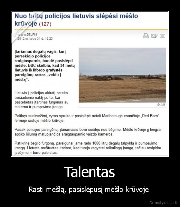 grizes, i, lt, vaidins, kieta, bica