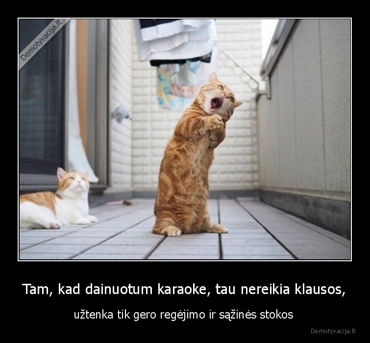 sazine,pasitikejimas,karaoke,katinas