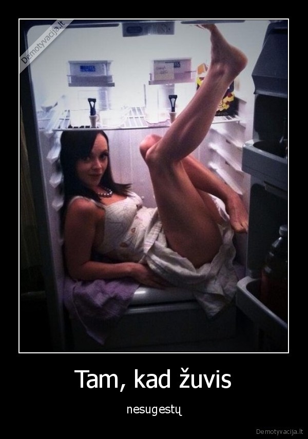 zuvis,saldytuvas,mergina