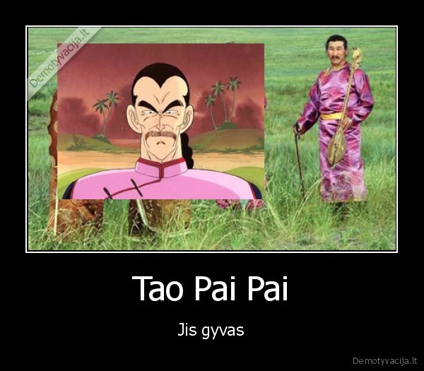 tao, pai, pai,tau, pai, pajus,drakonu, kovos,dragon, ball,dragon, ball, gt, gaidys