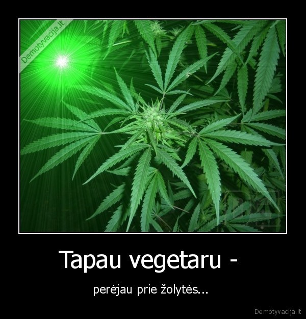 Tapau vegetaru - perėjau prie žolytės... 