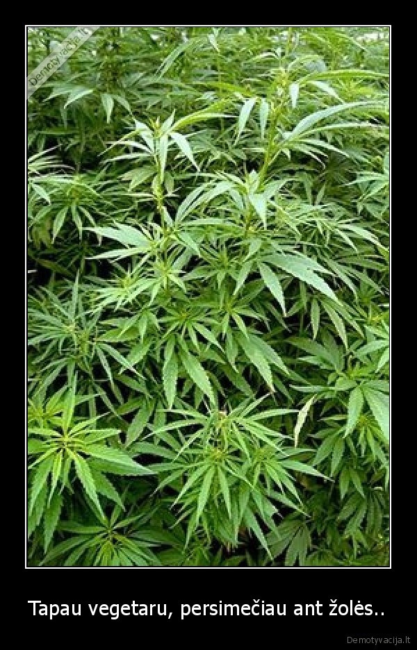 Tapau vegetaru, persimečiau ant žolės..