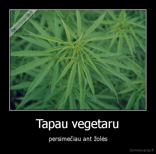 Tapau vegetaru