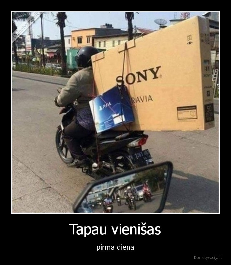 vienisas,geimeris,zaidimas,ps4