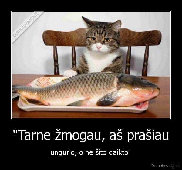 kate,katinas,ungurys,zuvis