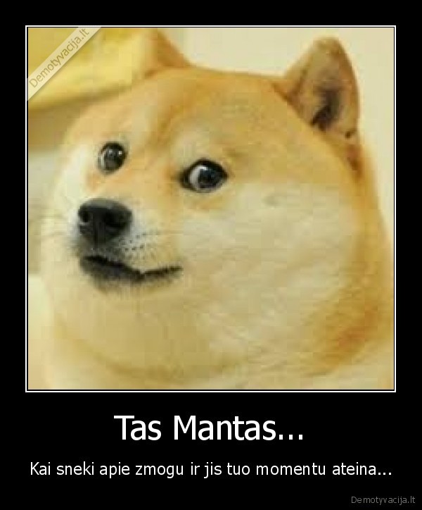 meme,doge,mantas,zmogus