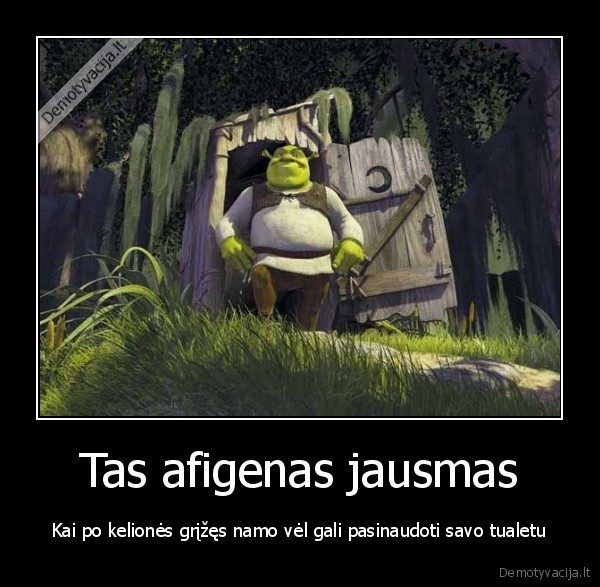 namu, tualetas,geriausias, tualetas,srekas