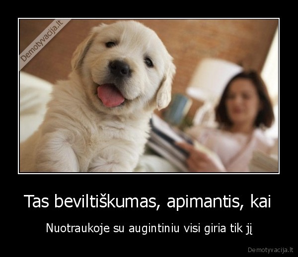 nesifotografuok, su, augintiniu