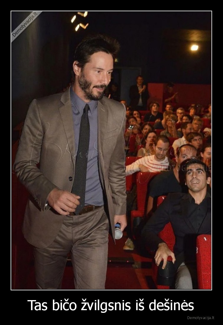 zvilgsnis,zvaigzde,veidas