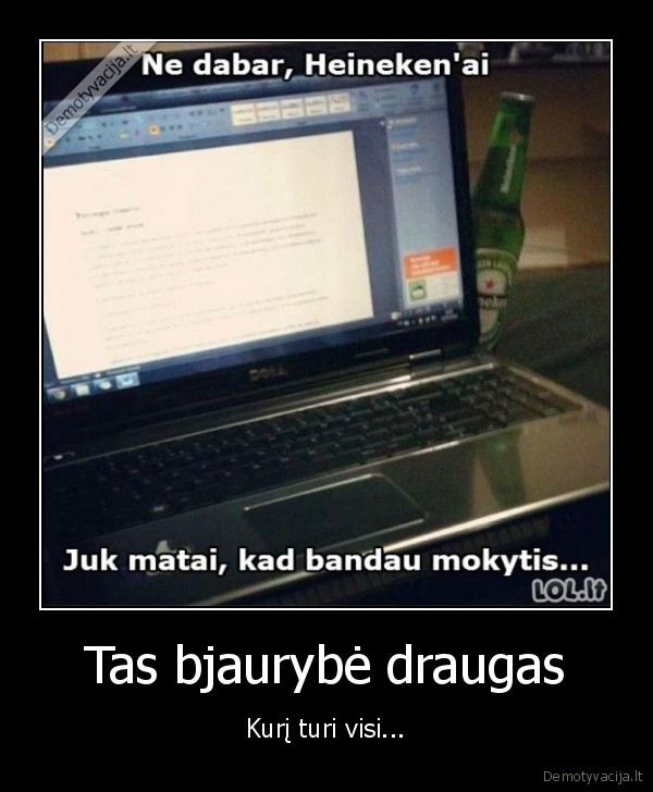 heineken,mokslai,sunku, mokytis,alus,draugas