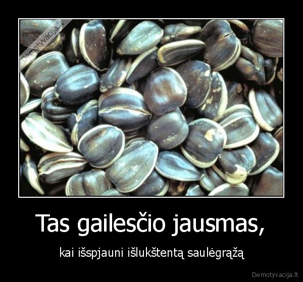 vaikai, svente, darbas