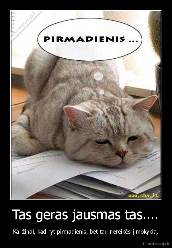 Tas geras jausmas tas....