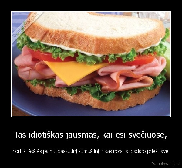 Tas idiotiškas jausmas, kai esi svečiuose,