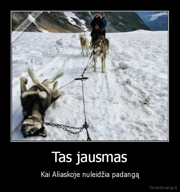 nuleido, padanga,haskis, ilsis,sunu, kinkinys