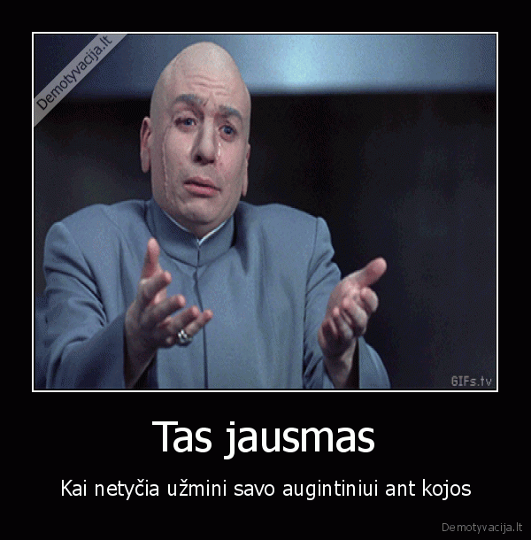 augintinis,skauda,verkia