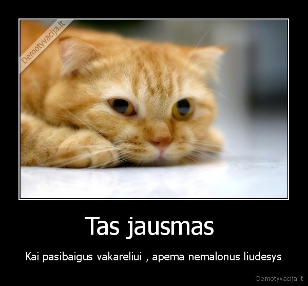 vakareliai,project, x,merginos