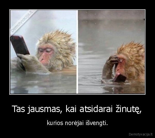 zinute,isvengti,bezdione,telefonas