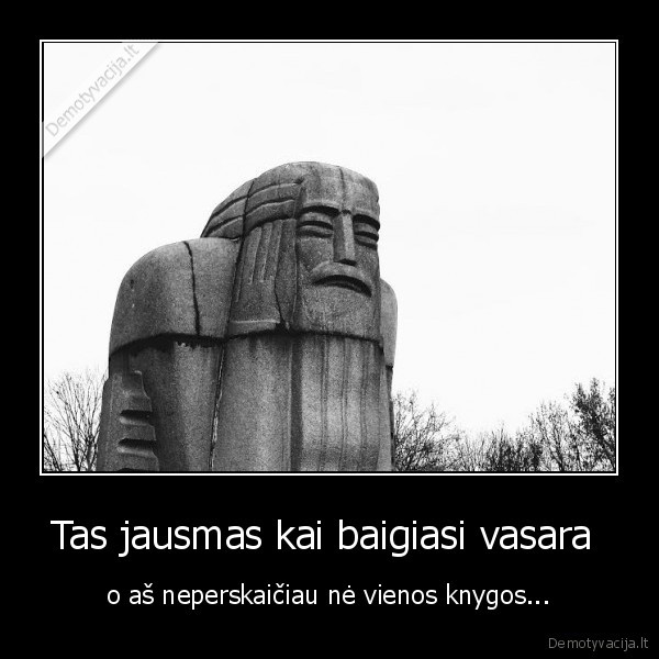 knyga,vasara,rugsejo, 1