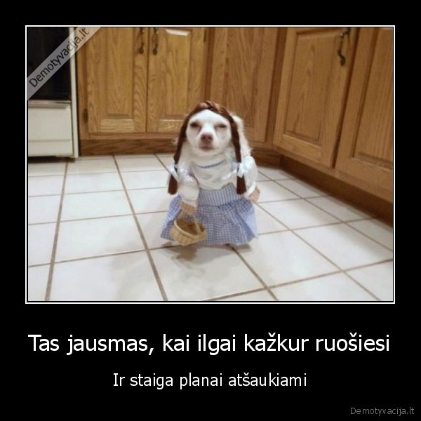 juokingas, suo,ruosimasis, i, miesta