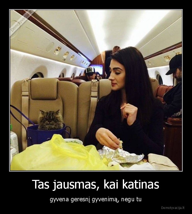 katinas,katinai,merginos