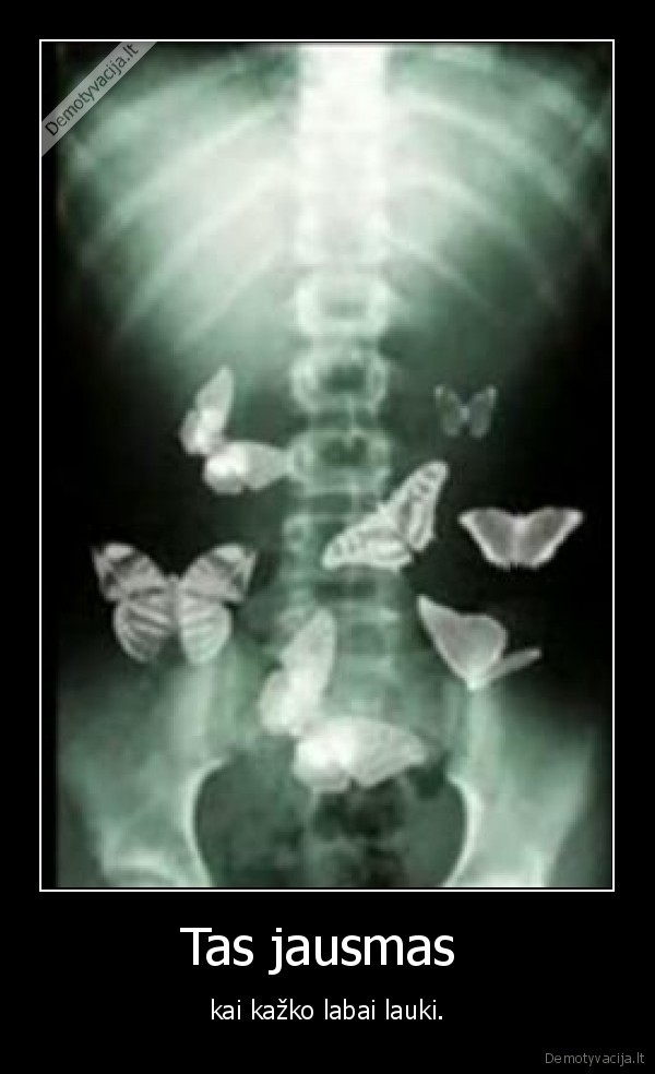 valinskas, ir, kubilius, yra, plikiai, senukai