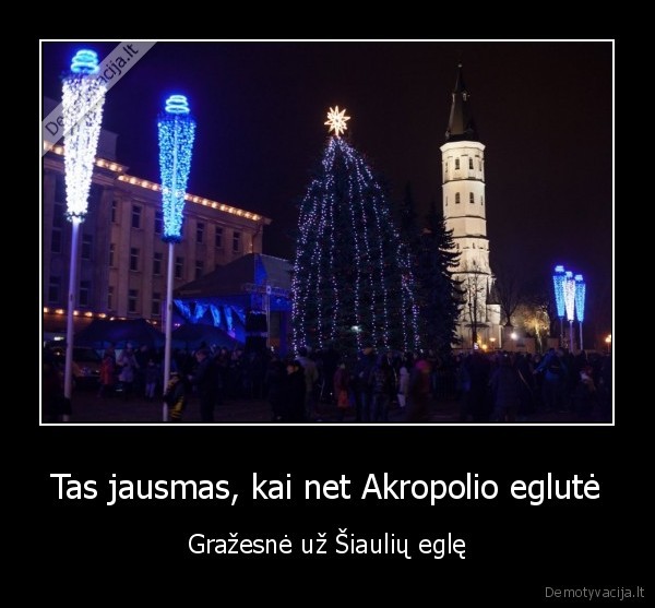 siauliai,miesto, egle