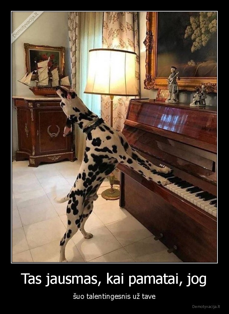 talentai,suo,dainuoja,groja