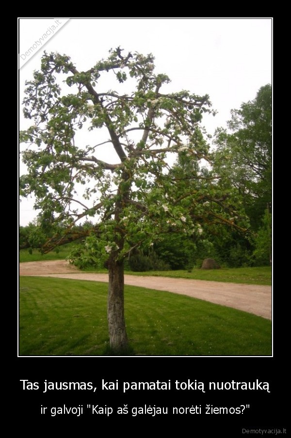 Tas jausmas, kai pamatai tokią nuotrauką