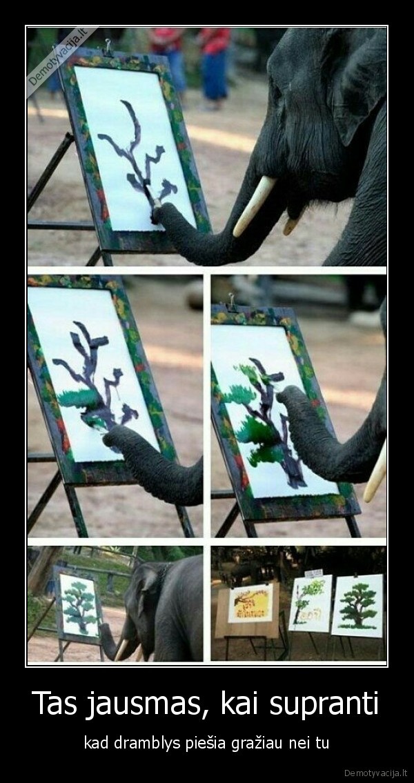 Tas jausmas, kai supranti