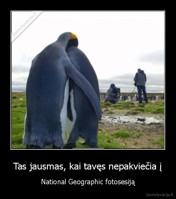 nacionaline, geografija,pingvinai