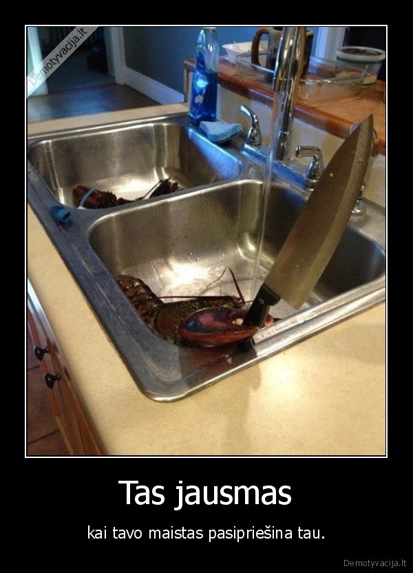 maistas,krabas,virtuve