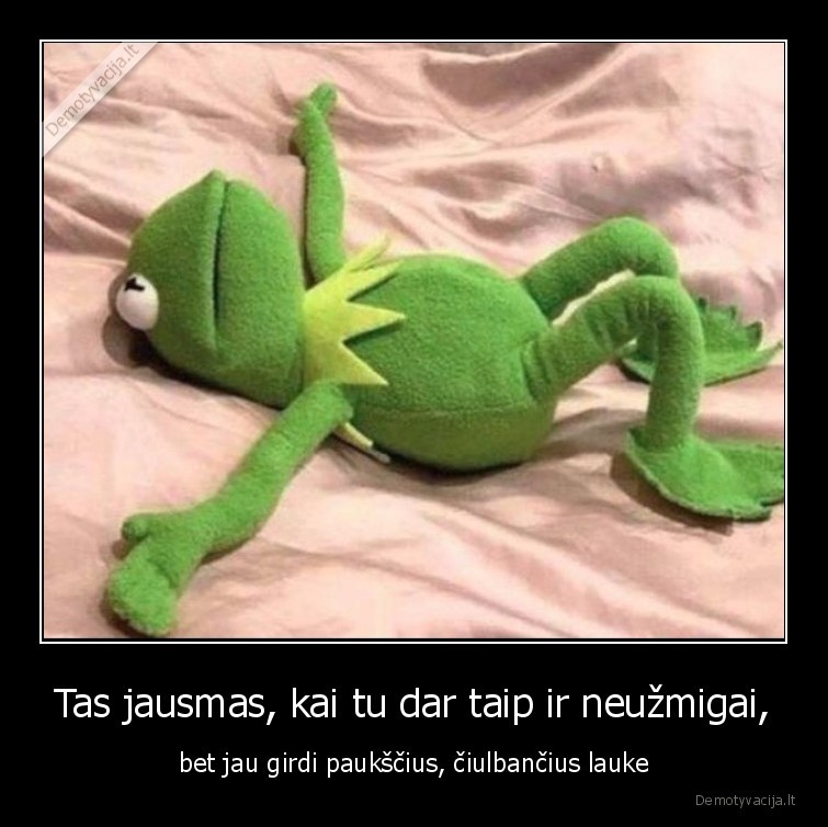 nemiegojai,jausmas,neuzmigai,miegas,pauksciai,ciulbejimas