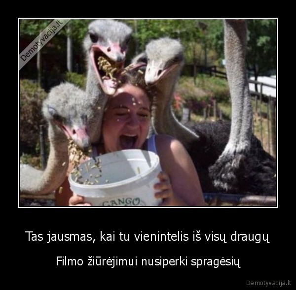 spragesiai,spraginti, kukuruzai,popkornai