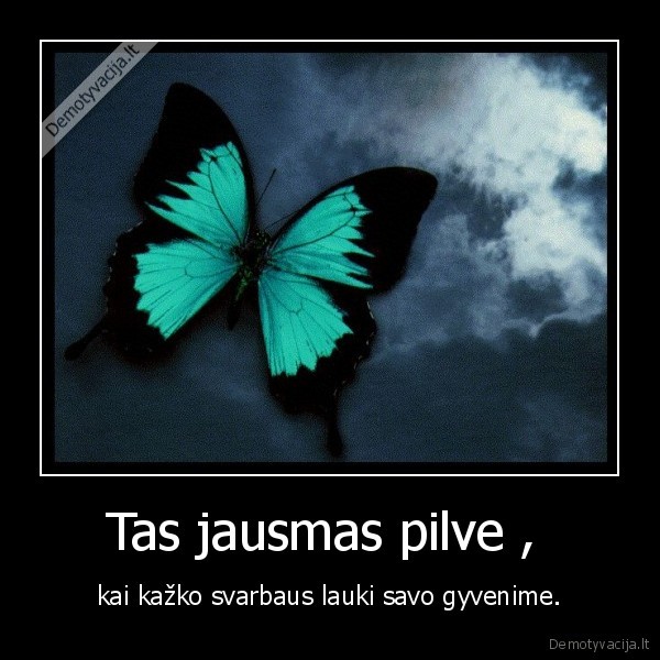 drugeliai,pilvas,laime