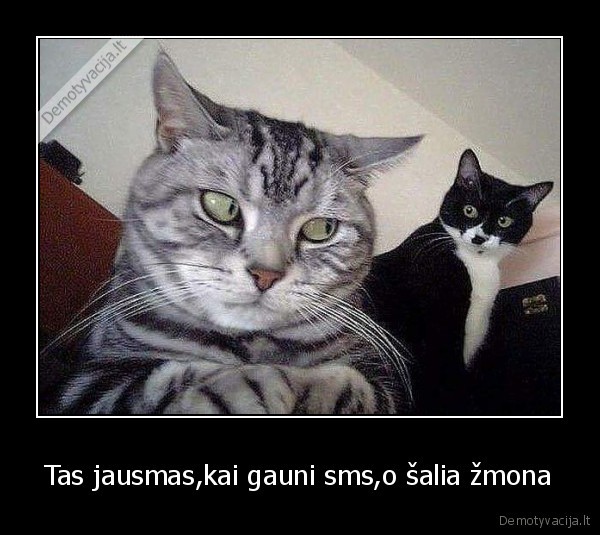 Tas jausmas,kai gauni sms,o šalia žmona